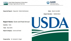 USDA grain report India