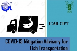 COVID 19 mitigation for fish transportation