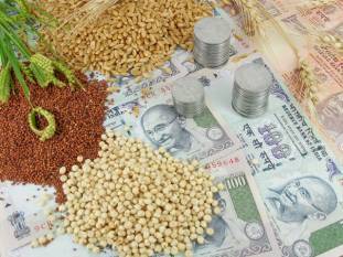 a-deep-dive-into-indias-agricultural-commodities-market-english.jpeg