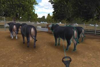 adelaide-made-cattle-handling-vr-teaching-tool-goes-global-english.jpeg