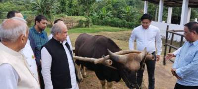 agriculture-minister-visits-national-mithun-research-center-farm-in-nagaland-english.jpeg