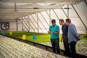 agritech-startup-clover-introduces-free-agronomy-service-for-their-greenhouse-farmers-english.jpeg