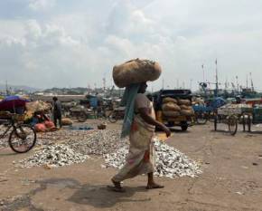 Andhra Pradesh forms 213 women-Led fisheries cooperatives, benefiting over 27,000 women