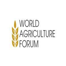 Aquaculture overtakes oceans as aquatic food growth slows