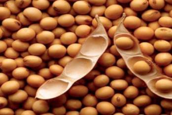 bayer-adm-partner-to-build-and-implement-a-sustainable-crop-protection-model-for-soybean-farmers-english.jpeg