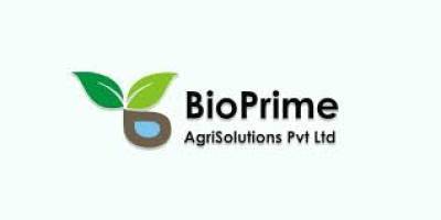 bioprime-revolutionizes-sustainable-agriculture-with-breakthrough-strains-next-gen-formulations-english.jpeg