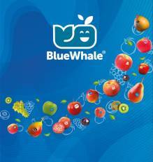 blue-whale-ends-season-with-record-turnover-english.jpeg