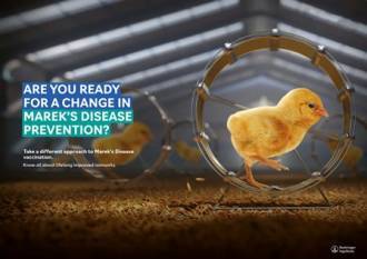 boehringer-ingelheim-launches-next-generation-poultry-vaccine-in-india-english.jpeg