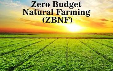 can-zero-farming-feed-the-world-exploring-the-promise-and-challenges-of-a-budget-friendly-technique-english.jpeg