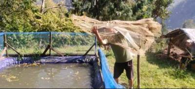 centre-approves-inr-706-crore-for-cold-water-fisheries-development-in-himalayan-states-english.jpeg