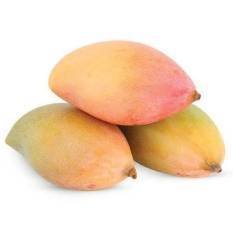 Centre approves procurement of copra, totapuri mangoes to support Tamil Nadu farmers