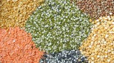 centre-urges-state-governments-to-monitor-tur-urad-prices-and-crack-down-on-stock-violations-marathi.jpeg