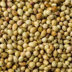coriander-bull-run-on-break-despite-shortage-futures-will-determine-new-direction-english.jpeg