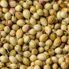 coriander-bullish-as-low-production-and-stocks-english.jpeg