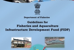Department of Fisheries