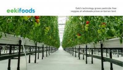 eeki-raises-7m-to-expand-aeroponic-farming-platform-english.jpeg