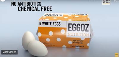 eggoz-nutrition-enters-kolkata-market-english.jpeg