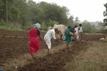 Farmer welfare schemes boost MSP earnings, crop insurance, and credit farmer-welfare-schemes-boost-msp-earnings-crop-insurance-and-credit-english.jpeg