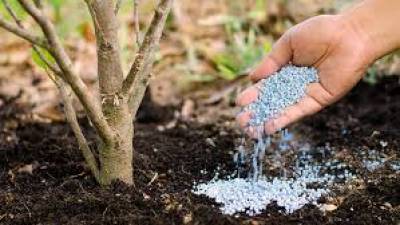 fertilizer-market-in-india-production-demand-and-the-future-outlook-english.jpeg