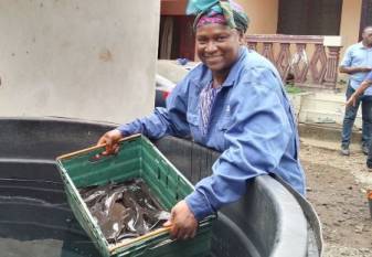 fish-farming-project-transforms-livelihoods-boosts-food-security-in-cameroon-english.jpeg