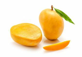 gi-certified-mangoes-exported-to-bahrain-english.jpeg