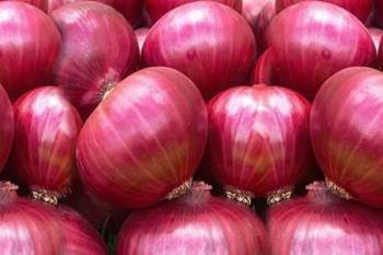 govt-relaxes-conditions-for-onions-imports-to-counter-high-market-prices-english.jpeg