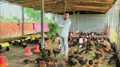 how-to-set-up-a-poultry-farm-in-maharashtra-english.jpeg