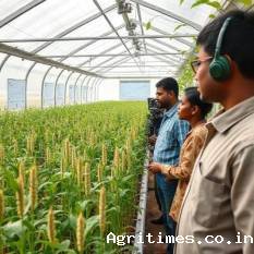 ICRISAT launches ‘Rapid-Ragi’ for faster millet breeding icrisat-launches-lsquo-rapid-ragi-for-faster-millet-breeding-english.jpeg