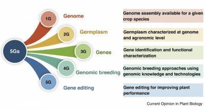 icrisat-scientist-says-5gs-of-genomics-vital-to-accelerate-crop-breeding-english.jpeg