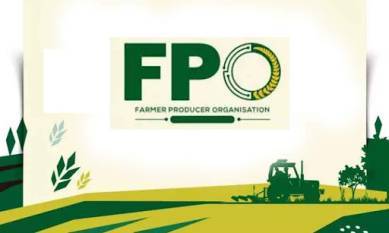 India achieves 10,000 FPO milestone, boosting farmer collectives nationwide