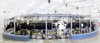 India clears MoU with Denmark in animal husbandry, dairying