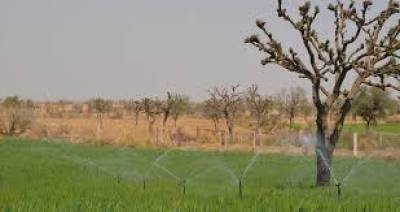 India, FAO launch climate-smart irrigation pilot india-fao-launch-climate-smart-irrigation-pilot-english.jpeg
