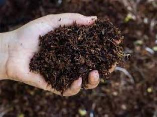 india-organic-fertilizer-market-expected-to-be-worth-usd-1-13bn-by-end-of-2032-english.jpeg