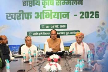 India surpasses China to become world's top rice producer