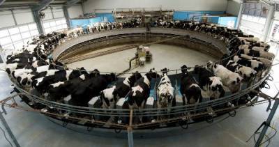 indian-dairy-sector-to-create-10-million-jobs-by-2025-english.jpeg