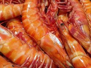 indias-seafood-exports-nbsp-touch-17-35-mt-during-2022-23-grow-26-73-in-quantity-terms-english.jpeg