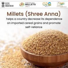 know-more-about-millet-crop-english.jpeg
