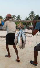 Lakshadweep charts roadmap to promote entrepreneurship in fisheries, mariculture