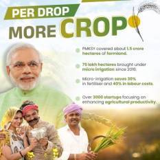 ‘Every Drop Counts’: PDMC reforms boost water conservation, farmer income lsquo-every-drop-counts-pdmc-reforms-boost-water-conservation-farmer-income-english.jpeg