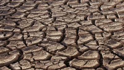 Maharashtra declares drought in 265 of 368 talukas