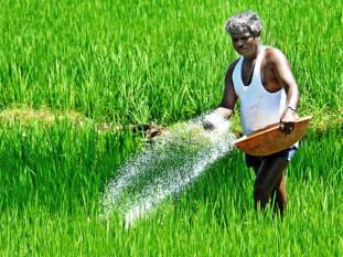 maharashtras-agri-dept-signs-mou-with-usda-to-enhance-agro-industry-sector-english.jpeg