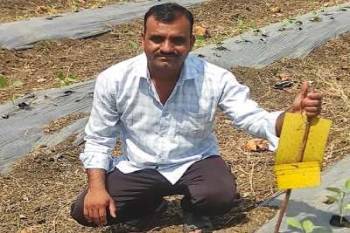 nagpur-farmer-reaps-bumper-profits-with-modern-farming-english.jpeg