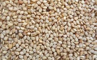 ncdex-to-re-launch-natural-whitish-sesame-seeds-futures-contract-english.jpeg