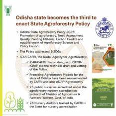 Odisha becomes third state in India to launch state agroforestry policy odisha-becomes-third-state-in-india-to-launch-state-agroforestry-policy-english.jpeg