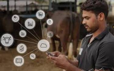 paras-dairy-empowering-dairy-farmers-with-digital-payment-system-english.jpeg