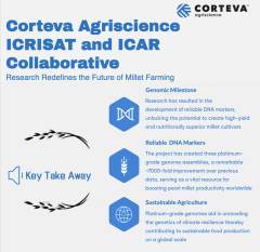 pioneering-progress-in-pearl-millet-corteva-agriscience-icrisat-icar-collaboration-redefines-global-food-security-english.jpeg