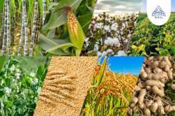 Progress of area coverage under Kharif crops as on AUGUST 15