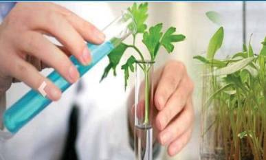 rallis-india-expands-custom-synthesis-portfolio-with-3-new-agrochemical-products-english.jpeg