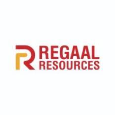 regaal-resources-promoter-raises-stake-to-25-39-with-9-lakh-share-purchase-english.jpeg