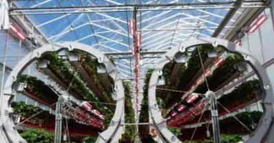 robots-giant-wheels-transform-dysons-vertical-strawberry-farm-english.jpeg